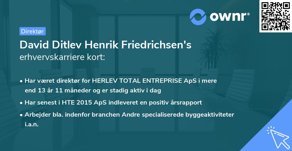 David Ditlev Henrik Friedrichsen's erhvervskarriere kort