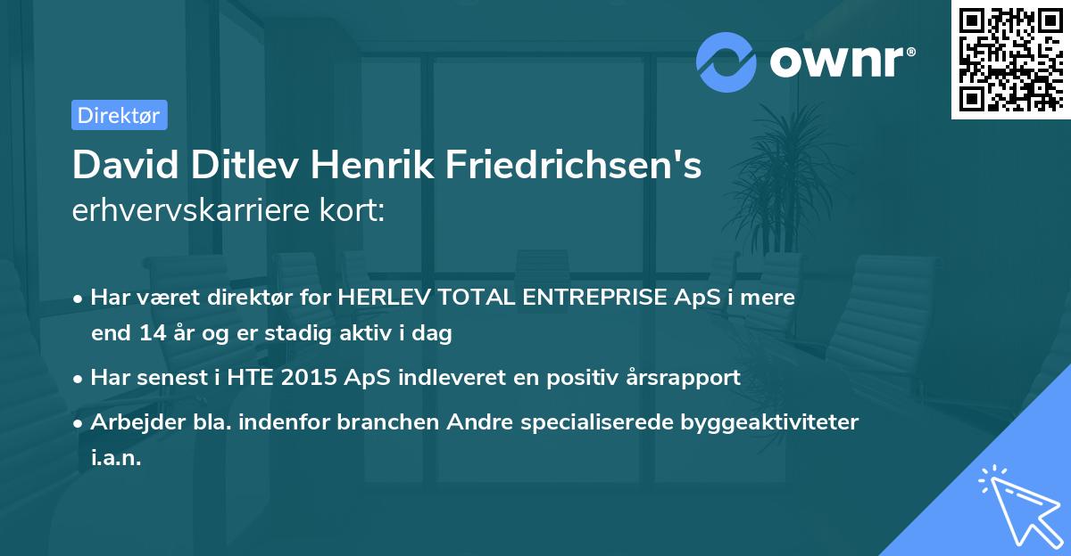 David Ditlev Henrik Friedrichsen's erhvervskarriere kort