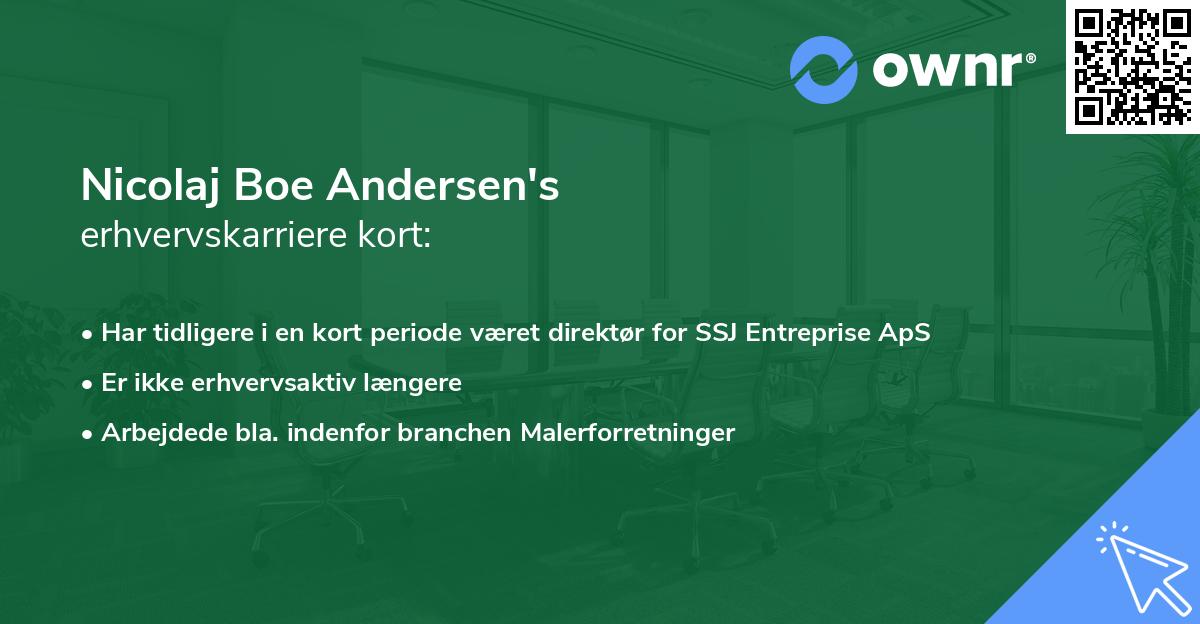 Nicolaj Boe Andersen's erhvervskarriere kort