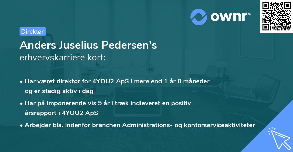 Anders Juselius Pedersen's erhvervskarriere kort
