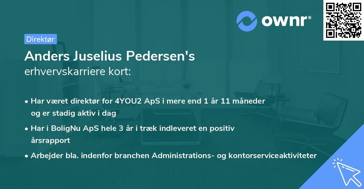Anders Juselius Pedersen's erhvervskarriere kort