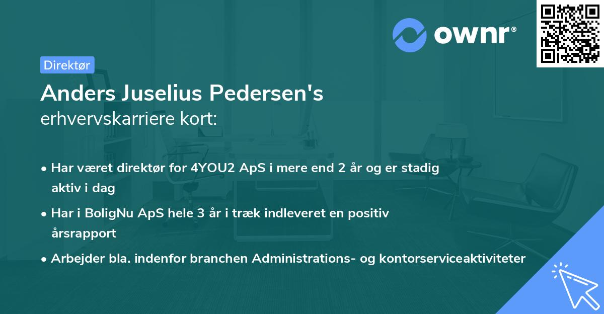 Anders Juselius Pedersen's erhvervskarriere kort