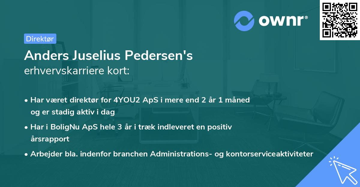 Anders Juselius Pedersen's erhvervskarriere kort