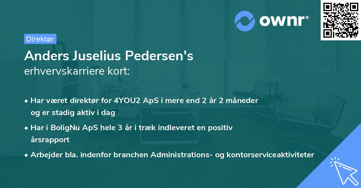 Anders Juselius Pedersen's erhvervskarriere kort