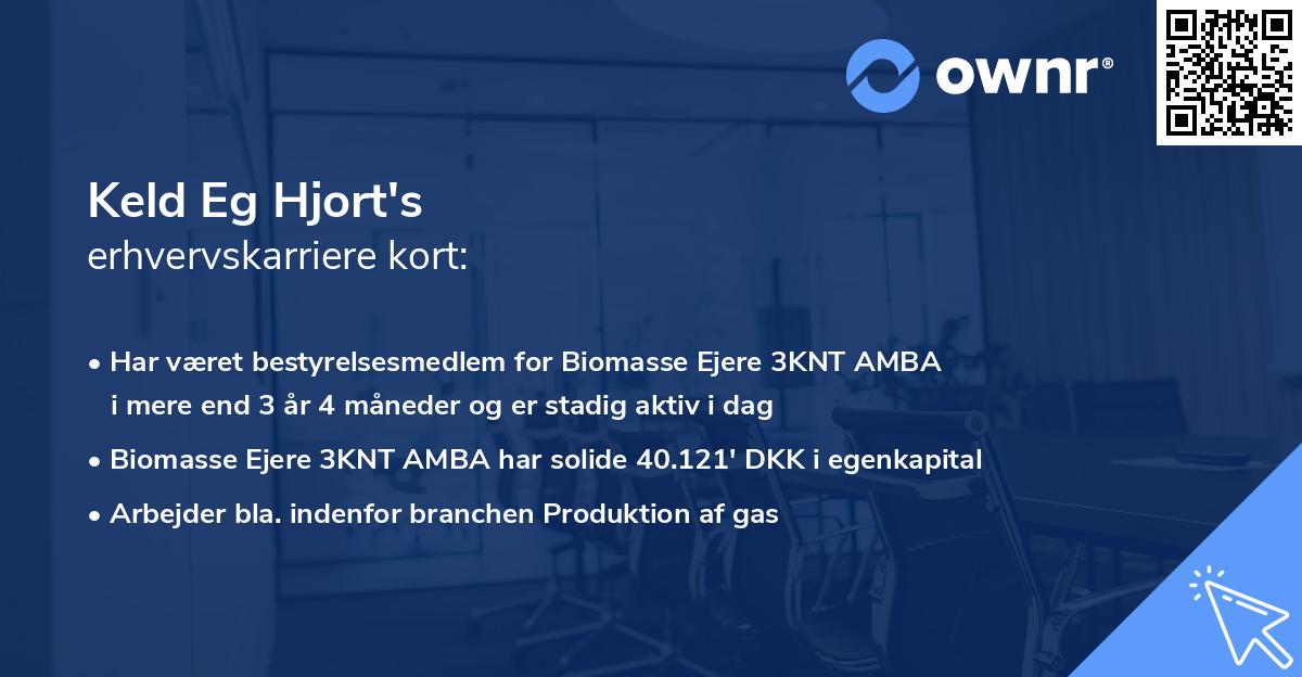 Keld Eg Hjort's erhvervskarriere kort