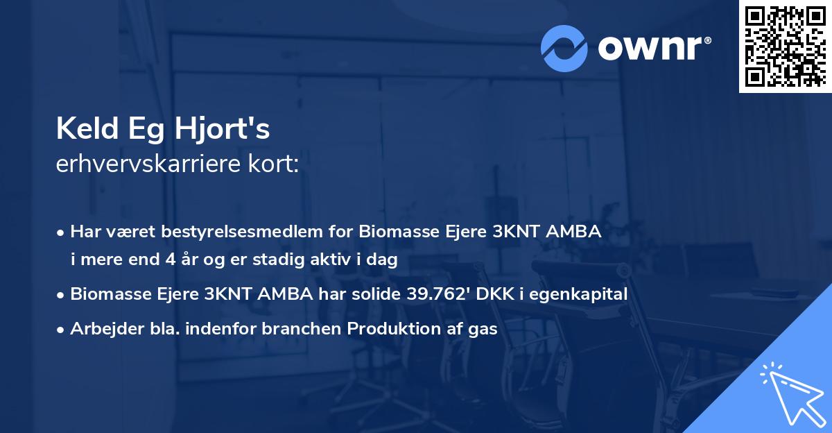 Keld Eg Hjort's erhvervskarriere kort