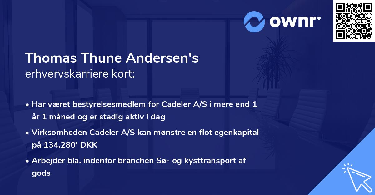 Thomas Thune Andersen's erhvervskarriere kort