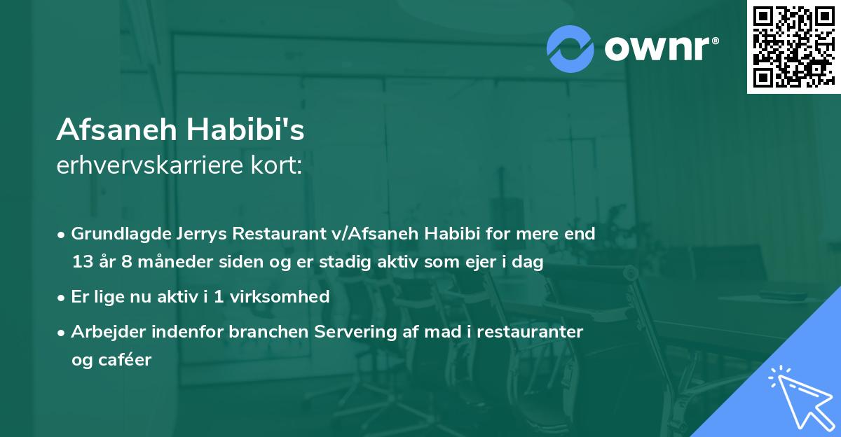 Afsaneh Habibi's erhvervskarriere kort
