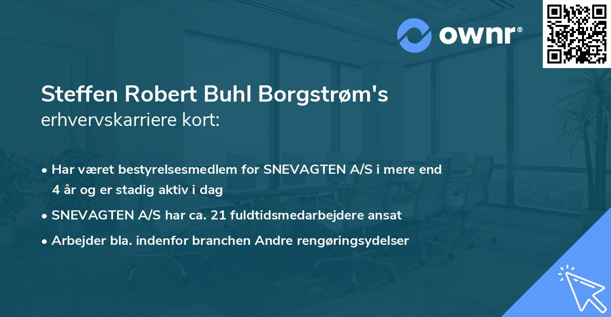 Steffen Robert Buhl Borgstrøm's erhvervskarriere kort