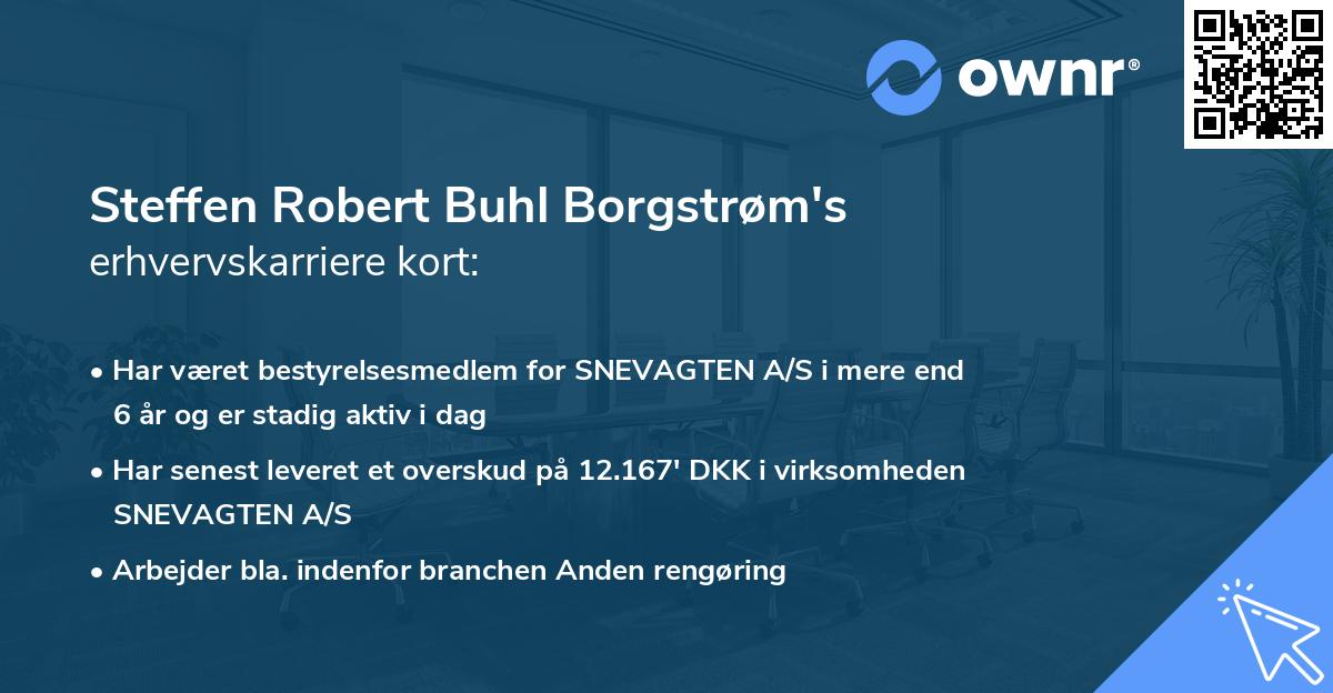 Steffen Robert Buhl Borgstrøm's erhvervskarriere kort