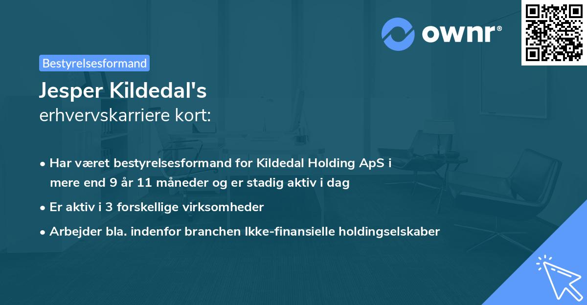 Jesper Kildedal's erhvervskarriere kort