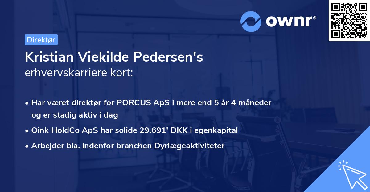 Kristian Viekilde Pedersen's erhvervskarriere kort