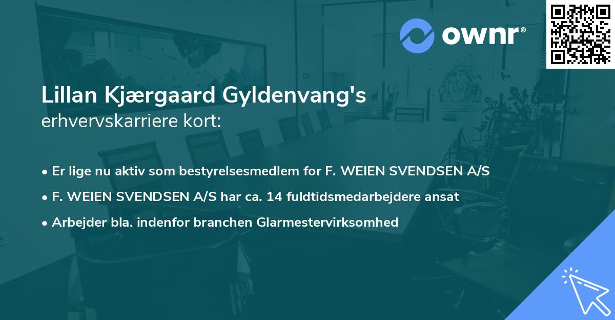 Lillan Kjærgaard Gyldenvang's erhvervskarriere kort