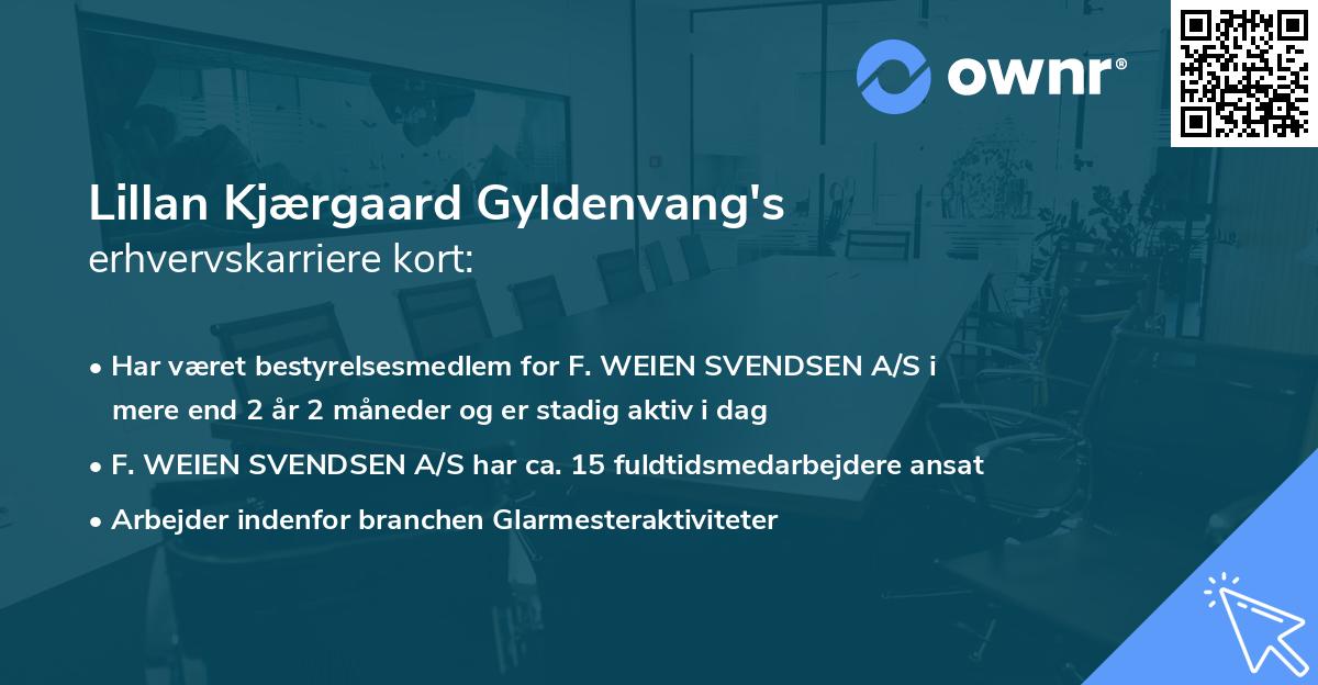 Lillan Kjærgaard Gyldenvang's erhvervskarriere kort