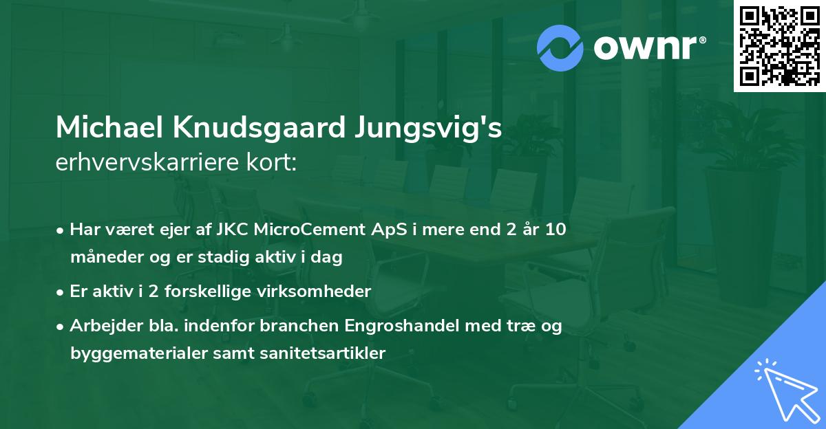 Michael Knudsgaard Jungsvig's erhvervskarriere kort
