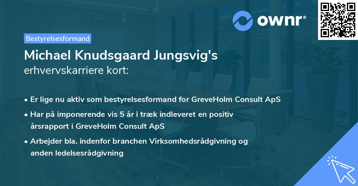 Michael Knudsgaard Jungsvig's erhvervskarriere kort