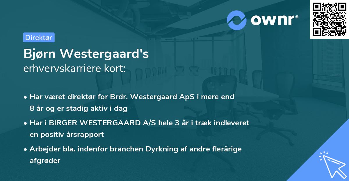 Bjørn Westergaard's erhvervskarriere kort