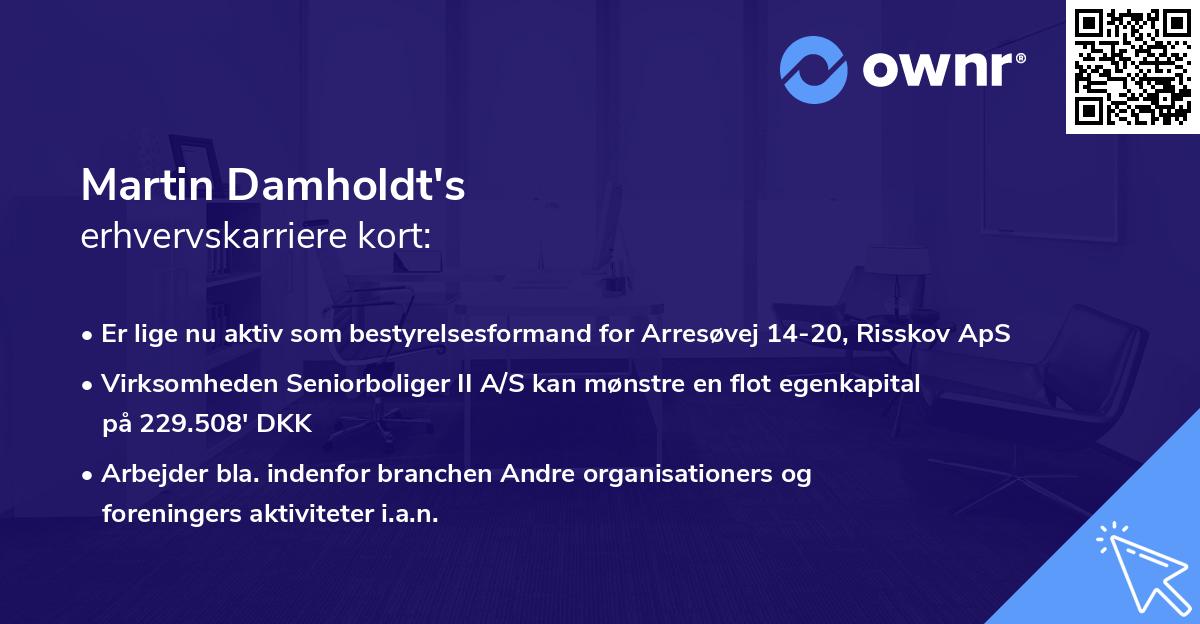 Martin Damholdt's erhvervskarriere kort