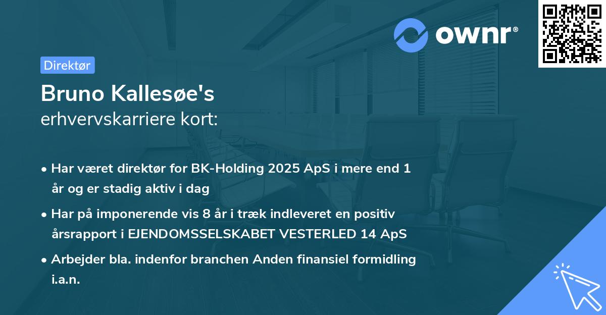 Bruno Kallesøe's erhvervskarriere kort