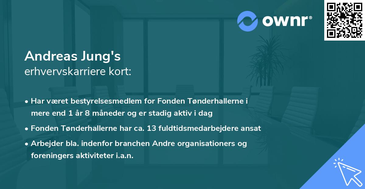 Andreas Jung's erhvervskarriere kort