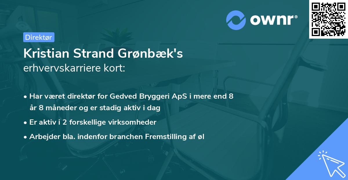Kristian Strand Grønbæk's erhvervskarriere kort