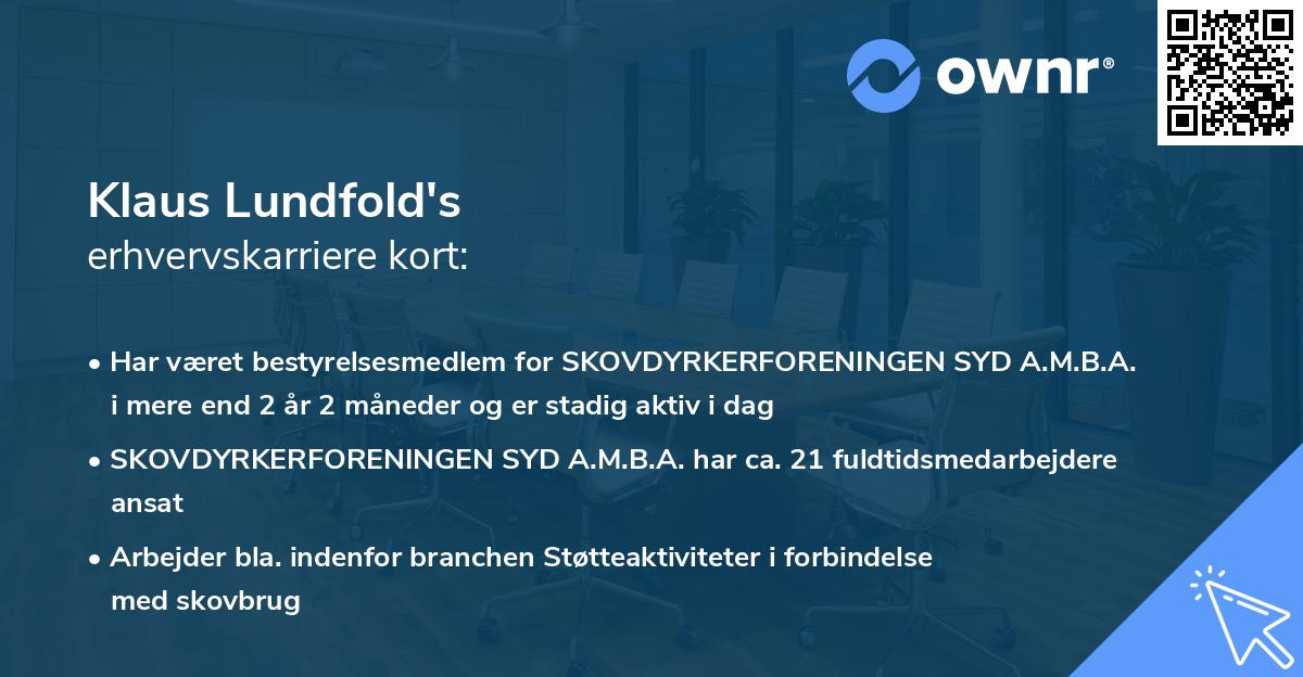 Klaus Lundfold's erhvervskarriere kort