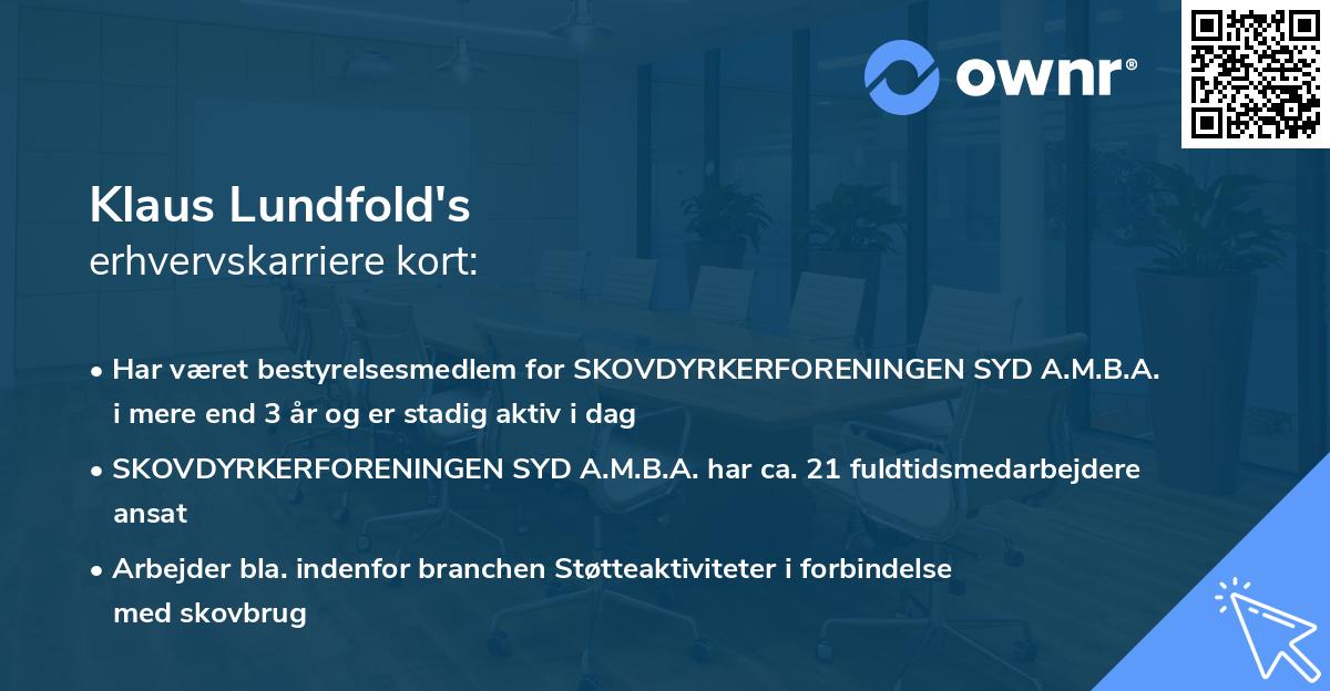 Klaus Lundfold's erhvervskarriere kort