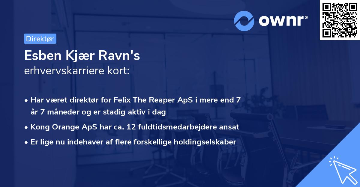 Esben Kjær Ravn's erhvervskarriere kort