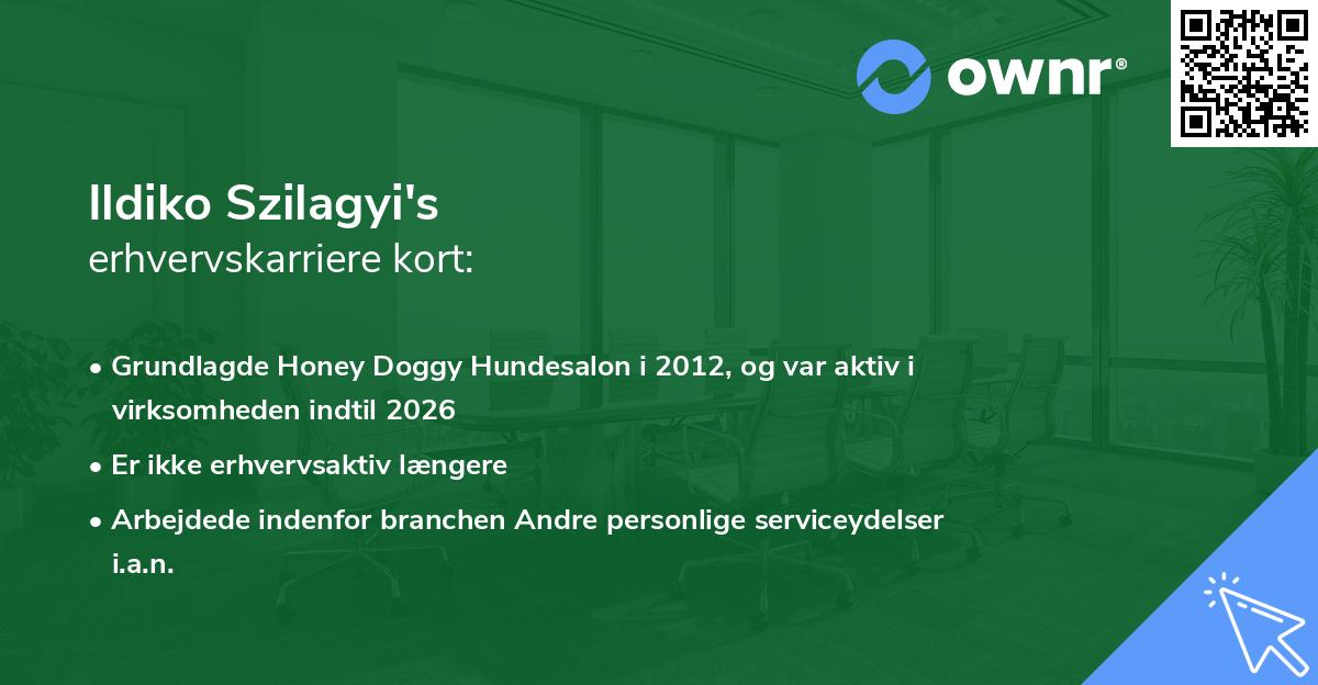 Ildiko Szilagyi's erhvervskarriere kort