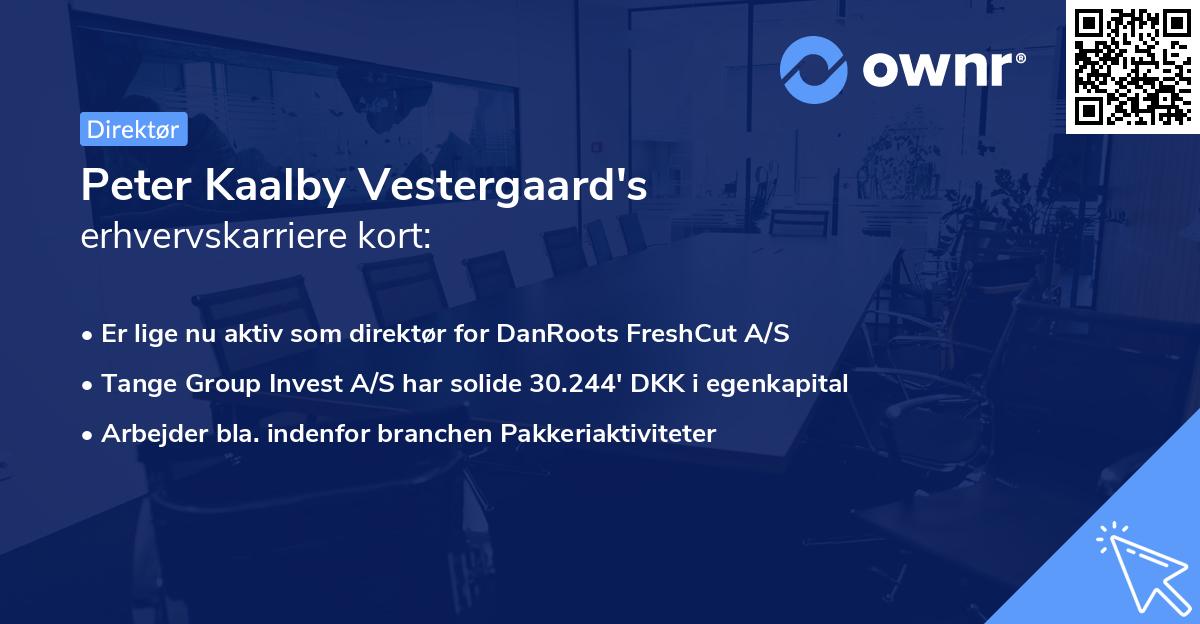 Peter Kaalby Vestergaard's erhvervskarriere kort