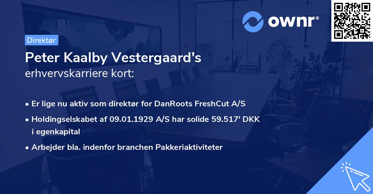 Peter Kaalby Vestergaard's erhvervskarriere kort