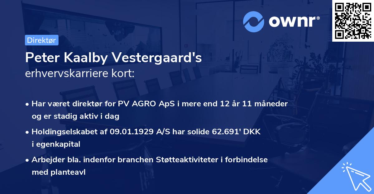 Peter Kaalby Vestergaard's erhvervskarriere kort