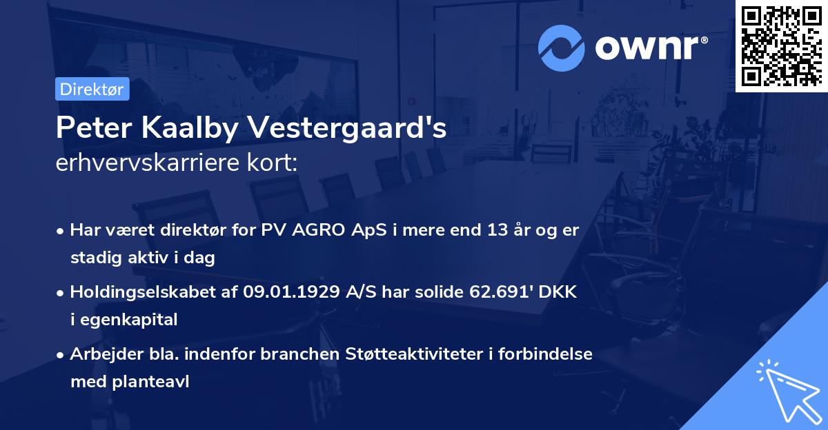 Peter Kaalby Vestergaard's erhvervskarriere kort
