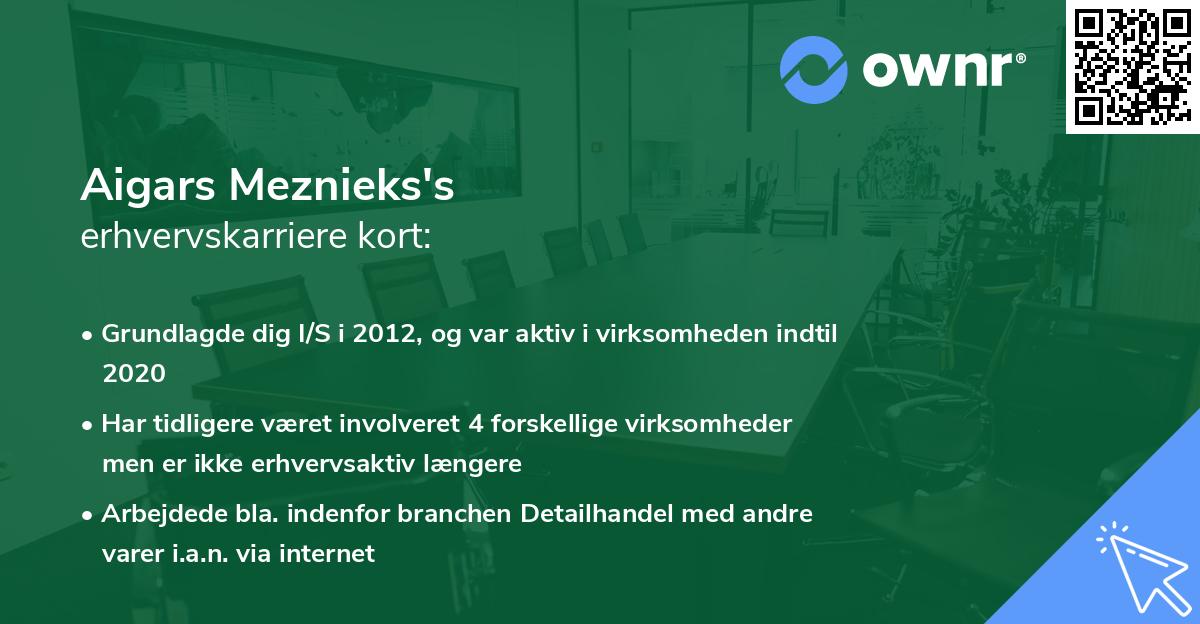 Aigars Meznieks's erhvervskarriere kort