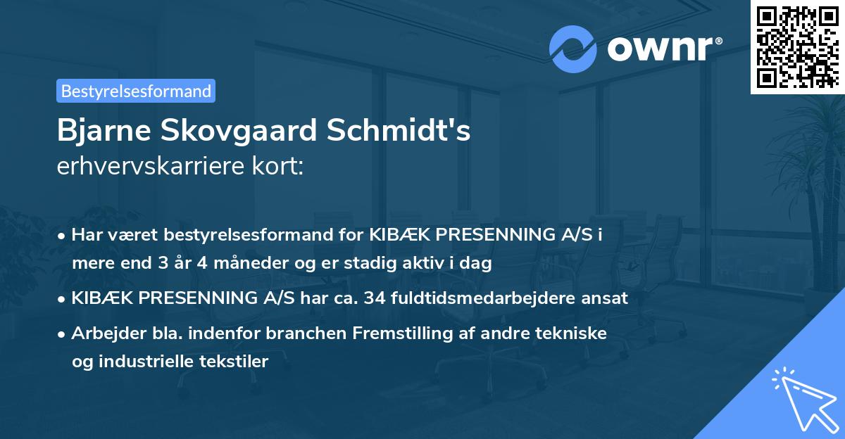 Bjarne Skovgaard Schmidt's erhvervskarriere kort