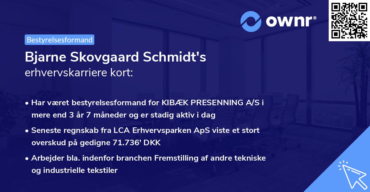 Bjarne Skovgaard Schmidt's erhvervskarriere kort