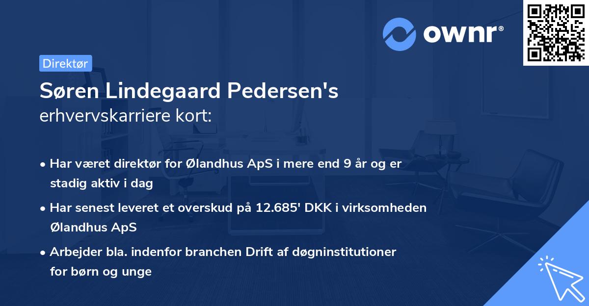 Søren Lindegaard Pedersen's erhvervskarriere kort