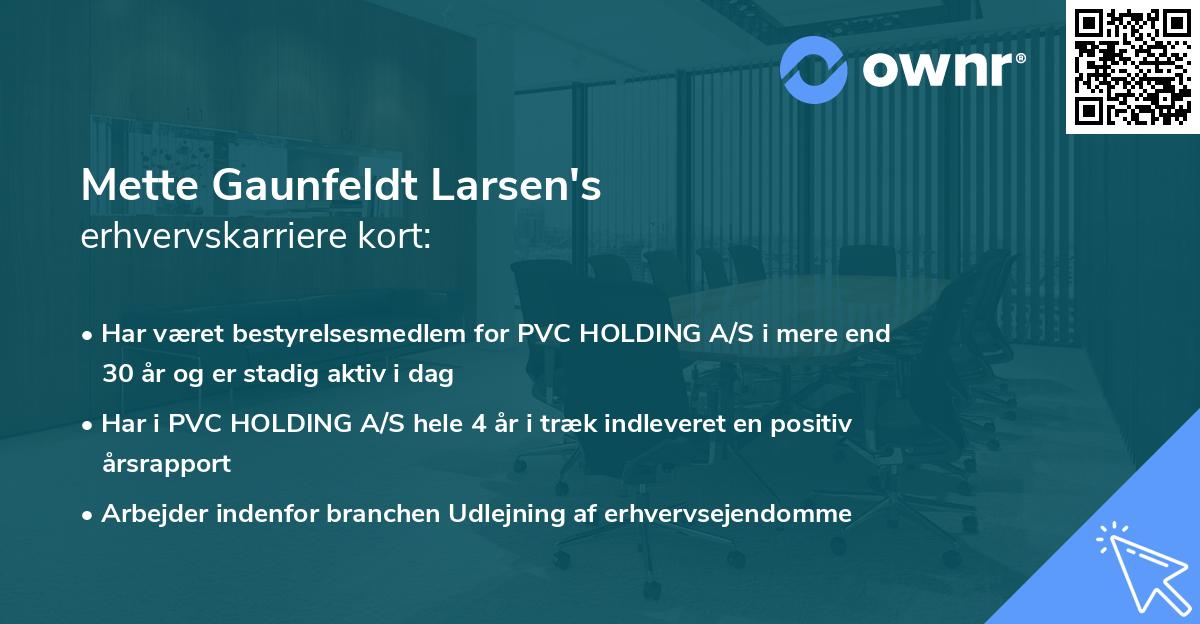 Mette Gaunfeldt Larsen's erhvervskarriere kort