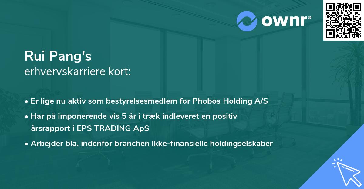 Rui Pang's erhvervskarriere kort