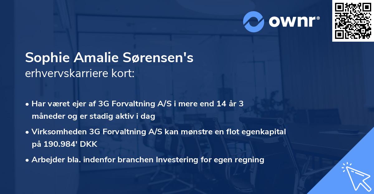 Sophie Amalie Sørensen's erhvervskarriere kort