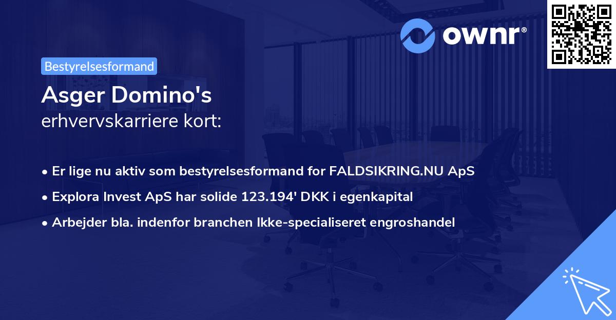 Asger Domino's erhvervskarriere kort