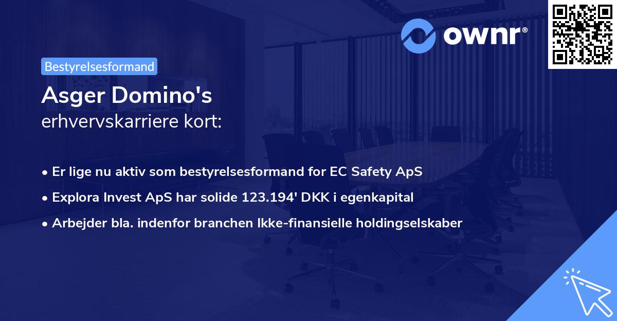 Asger Domino's erhvervskarriere kort