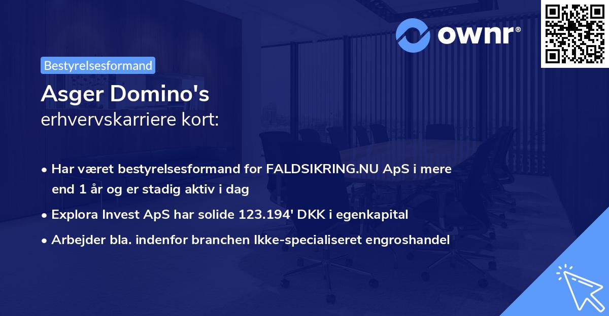Asger Domino's erhvervskarriere kort