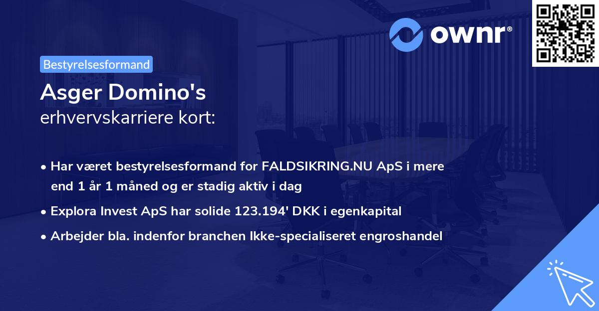 Asger Domino's erhvervskarriere kort