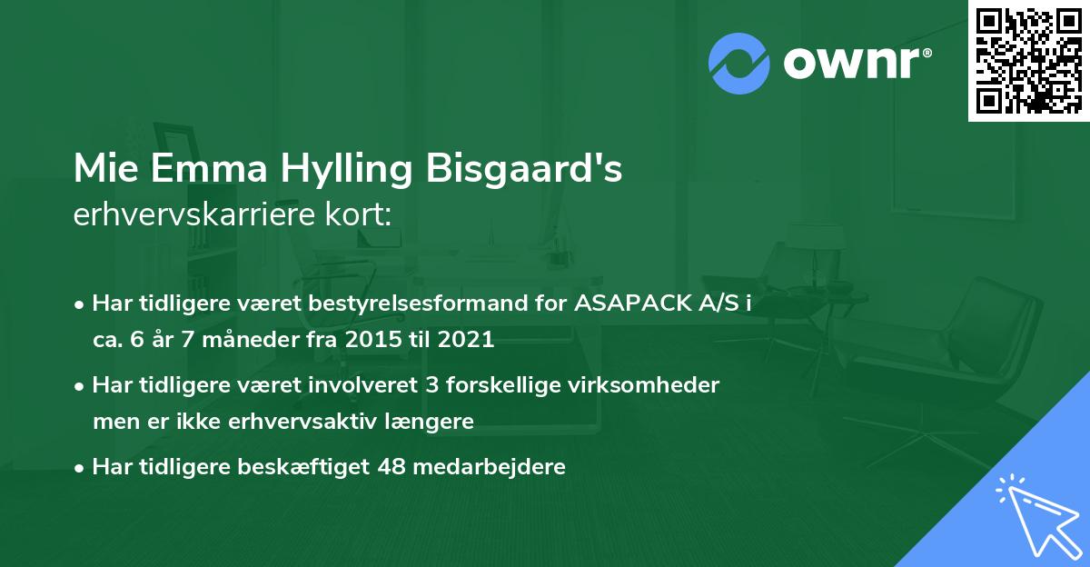 Mie Emma Hylling Bisgaard's erhvervskarriere kort