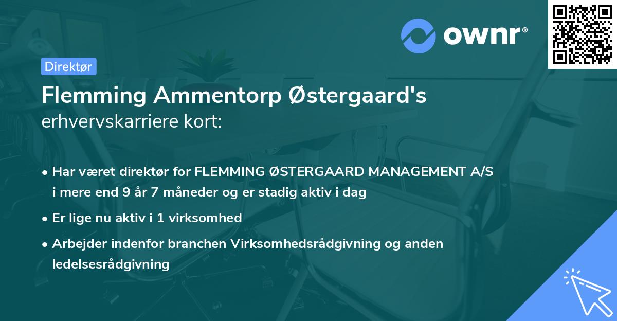 Flemming Ammentorp Østergaard's erhvervskarriere kort