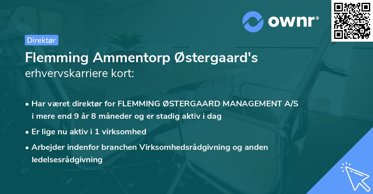 Flemming Ammentorp Østergaard's erhvervskarriere kort