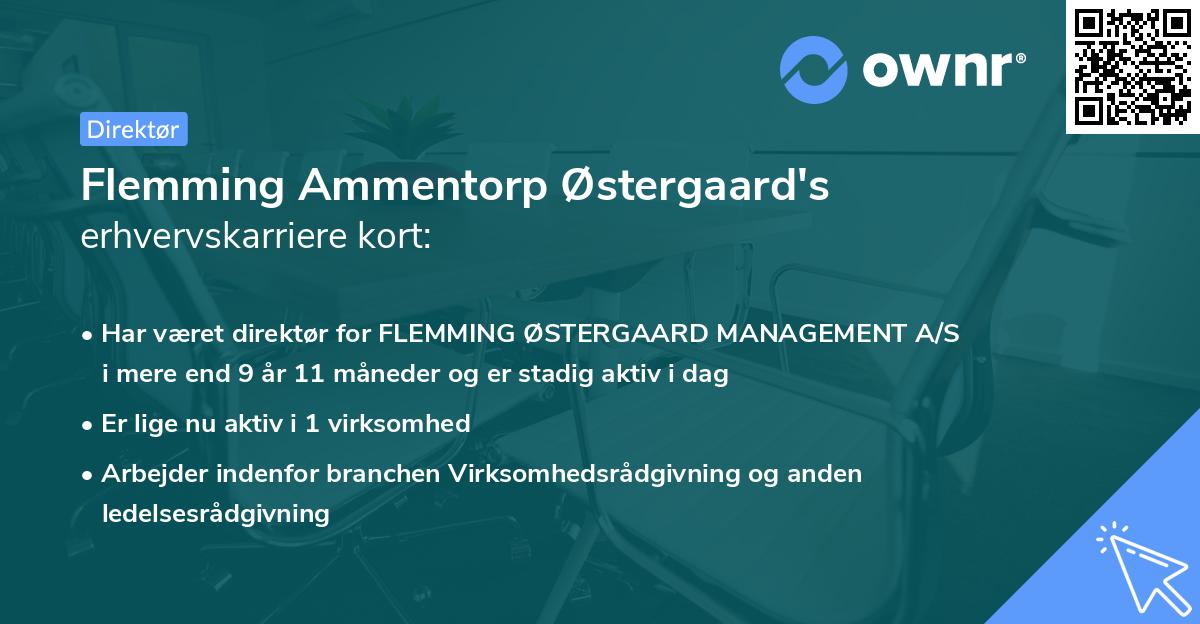 Flemming Ammentorp Østergaard's erhvervskarriere kort