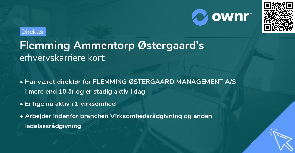 Flemming Ammentorp Østergaard's erhvervskarriere kort