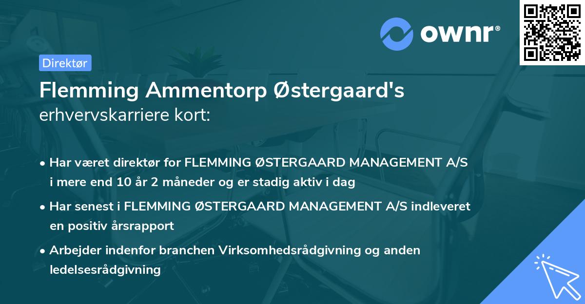 Flemming Ammentorp Østergaard's erhvervskarriere kort